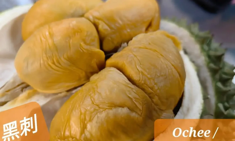 Ochee Durian