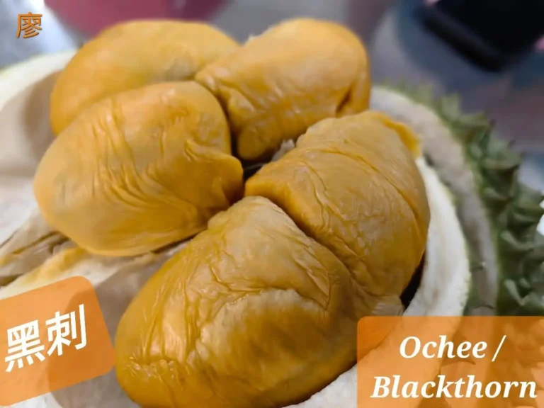 Ochee Durian